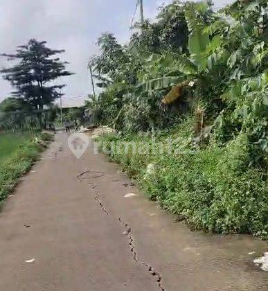 Dijual Tanah Di Desa Blukbuk, Kronjo, Kabupaten Tangerang 1