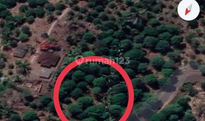Tanah kebun cengkeh desa tigawasa Buleleng Singaraja (0) 6