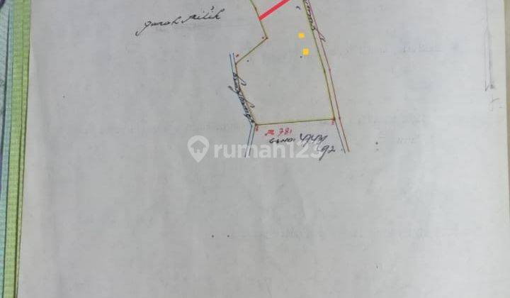 Tanah kebun cengkeh desa tigawasa Buleleng Singaraja (0) 8
