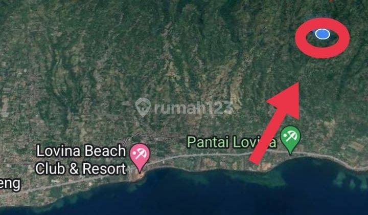 Tanah kebun cengkeh desa tigawasa Buleleng Singaraja (0) 7