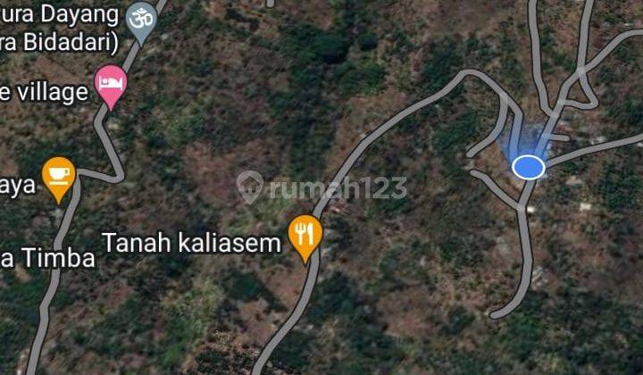 Tanah kebun cengkeh desa tigawasa Buleleng Singaraja (0) 9