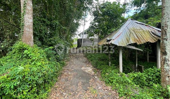 Tanah Hadap sungai 5 menit ke Pantai Kedungu 
(1/9) 3