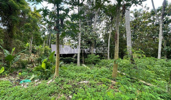 Tanah Hadap sungai 5 menit ke Pantai Kedungu 
(1/9) 5