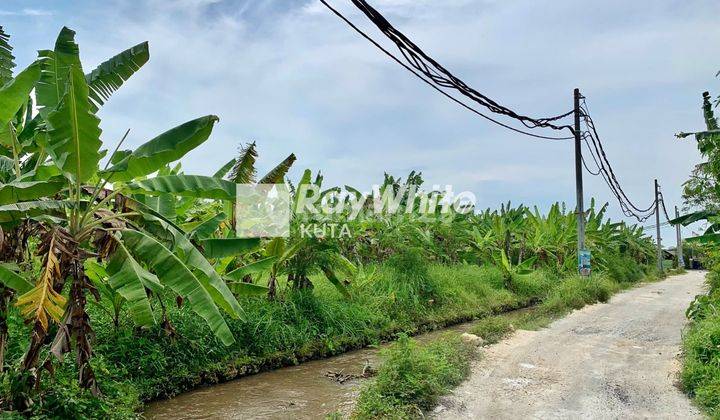 Tanah Hanya 8 Menit Ke Pantai Cemagi (19) 2