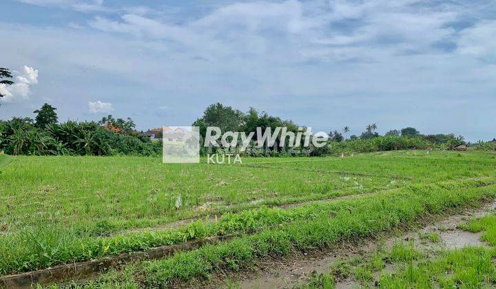Tanah Hanya 8 Menit Ke Pantai Cemagi (19) 1