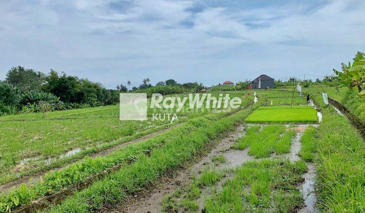 Tanah Hanya 8 Menit Ke Pantai Cemagi (19) 4