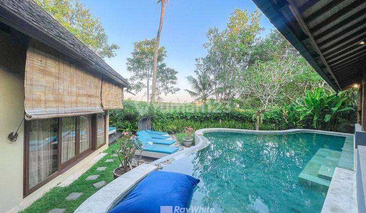 For Sale Villa With Scandinavian classic style view rice field And River In Perenenan 10