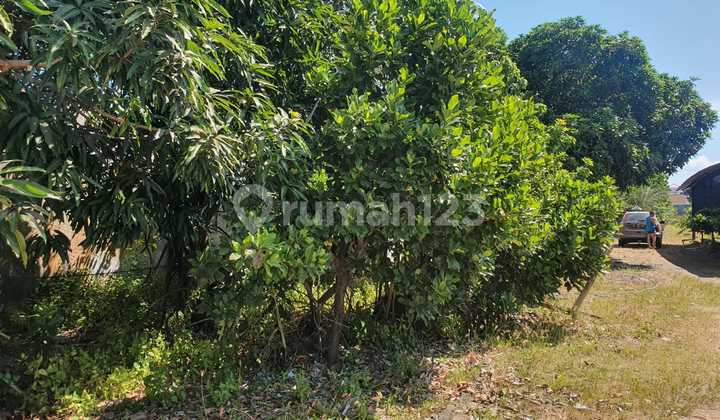 Lahan 56,5 are disewakan di Jalan By Pass Sanur 7
