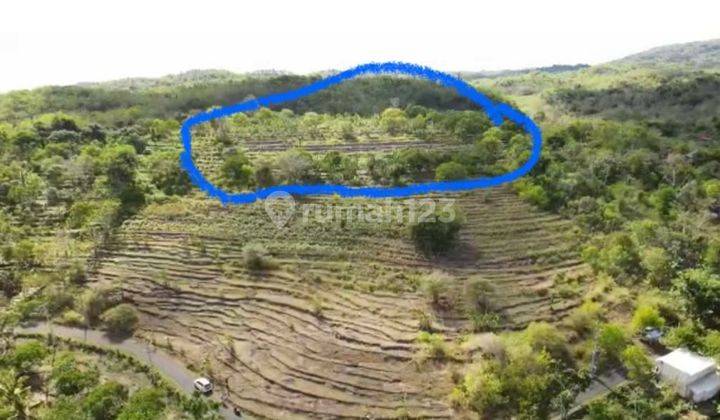 tanah ocean view Nusa Penida, 4,2 hektar 1