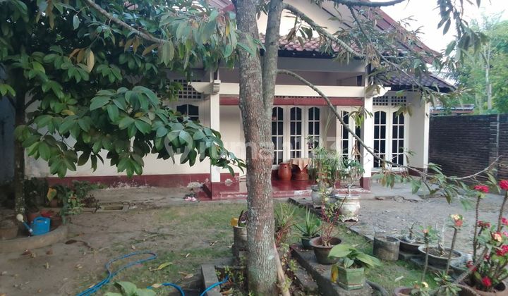 Rumah Lokasi Strategis Bonus Tempat Usaha di Kota Praya Lombok 2