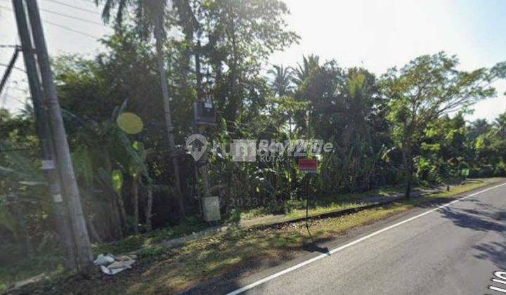 Land on the outskirts of Pekutan Jembrana Highway for quick sale 1