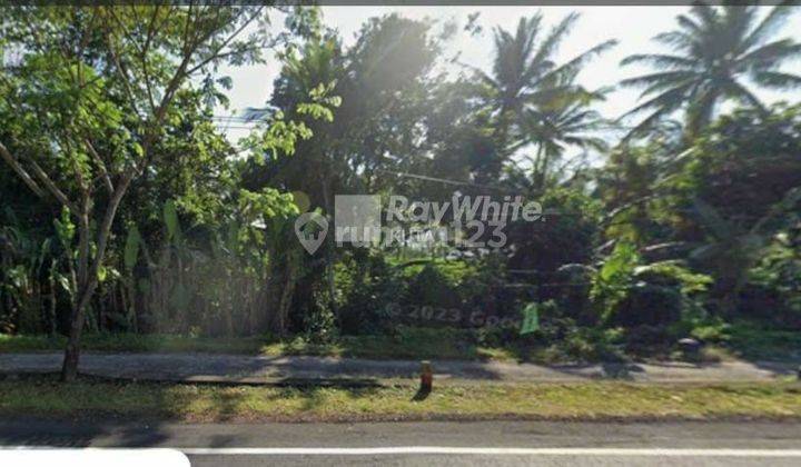 Land on the outskirts of Pekutan Jembrana Highway for quick sale 2