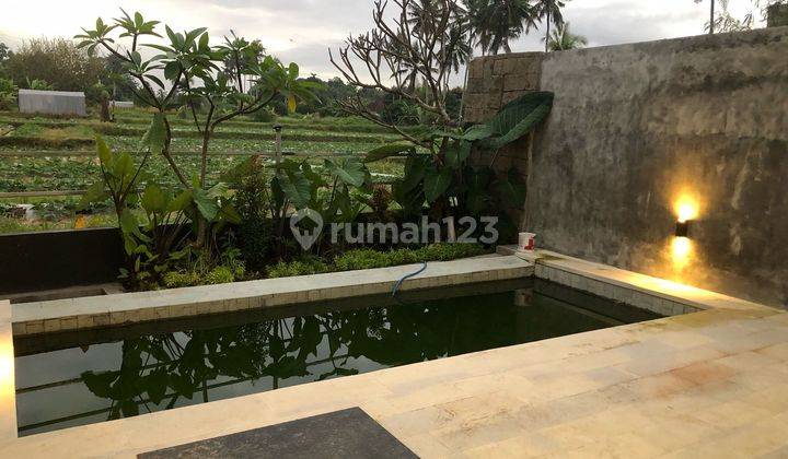 Newly built villa for rent and sale in Sukowati location  2