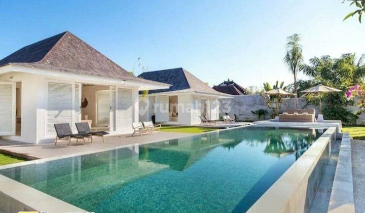 Brand New Villa With Rice Field View In Cemagi Close to Canggu  1