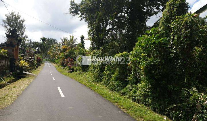 Land Strategic Location Utama Street Payangan Ubud 1