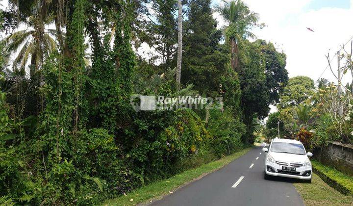 Land Strategic Location Utama Street Payangan Ubud 2