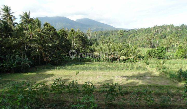 Dijual Tanah Indah View Gunung Agung di Abang Karangasem 1