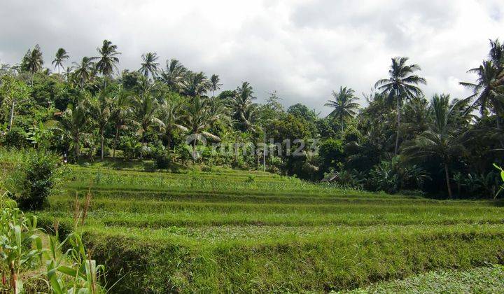 Dijual Tanah Indah View Gunung Agung di Abang Karangasem 2