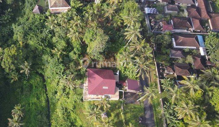 Land for sale in Gianyar 13 are (Land for sale in Gianyar 13 are) 2