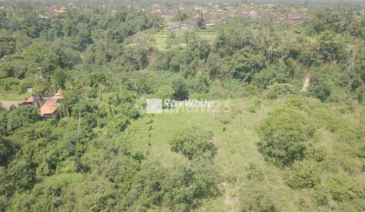 Dijual Tanah Langka di Tegenungan Sukawati 1