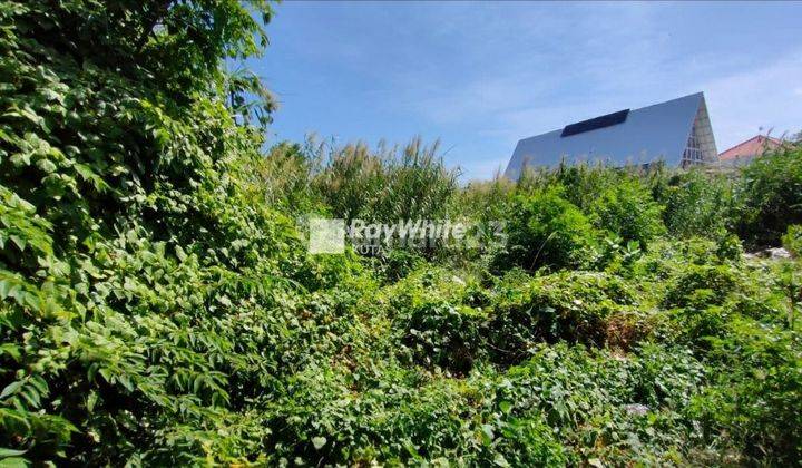 Rare Land Suitable For Commercial Close To Seminyak 2