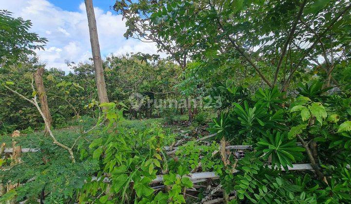 Rare Land Suitable for Commercial in Pecatu 2