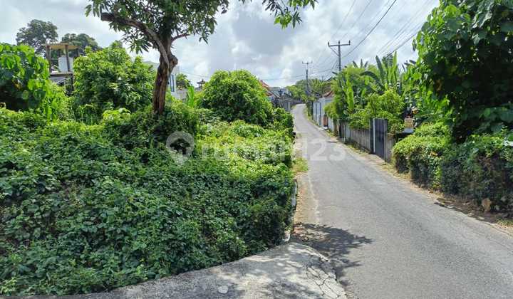 Land For Sale Prime Location - Canggu, Tumbak Bayuh