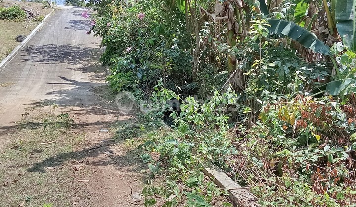 Murah !! Tanah Dijual Diatas Bukit Bintang Puri Gading Jimbaran