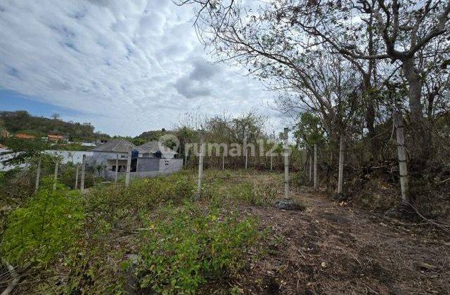 For Sale 2.8 Are Land In Benoa Nusa Dua 2