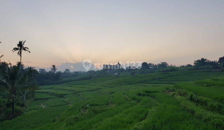 Rumah Dengan View Sawah Di Daerah Pegending Dekat Canggu Area 2