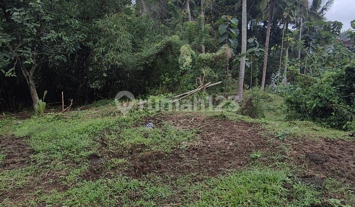 Turun Harga: Best Deal Tanah View Sawah & Sungai Bantas Tabanan 