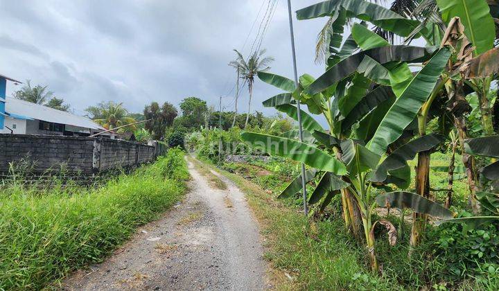 Disewakan Tanah Indah  Di Tibubiu Tabanan  2