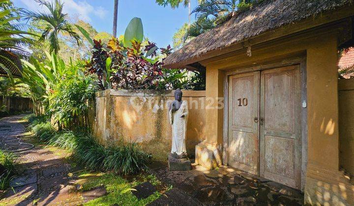 House Living Light #10 For Sale In Sayan Ubud  2