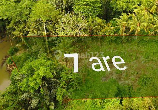 JUNGLE AND RIVER VIEW!!! Land for Lease NEAR NUANU & Tanah Lot 1