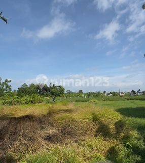 Land 20.5 Are For Leasehold At Kerobokan Kaja 2