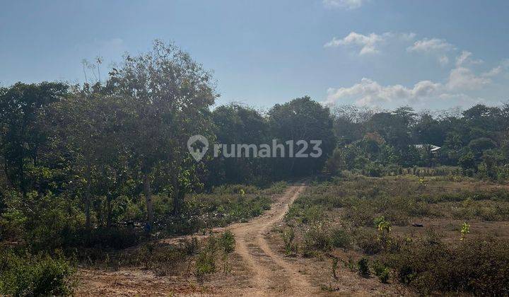 LAND FOR SALE NEAR PANDAWA BEACH SOUTH KUTA 2