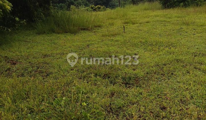 Tanah murah bagus untuk investasi