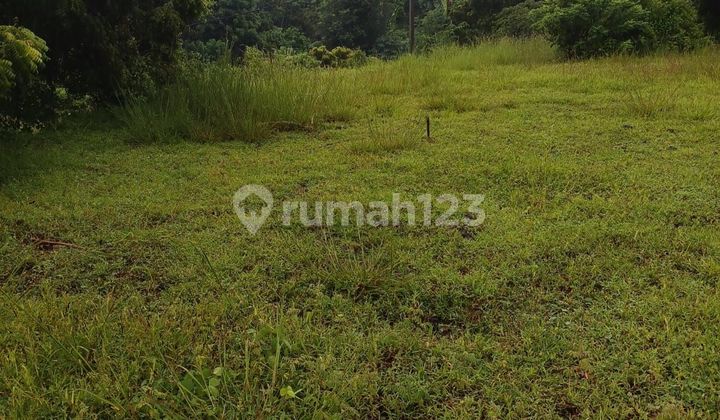 Tanah murah bagus untuk investasi