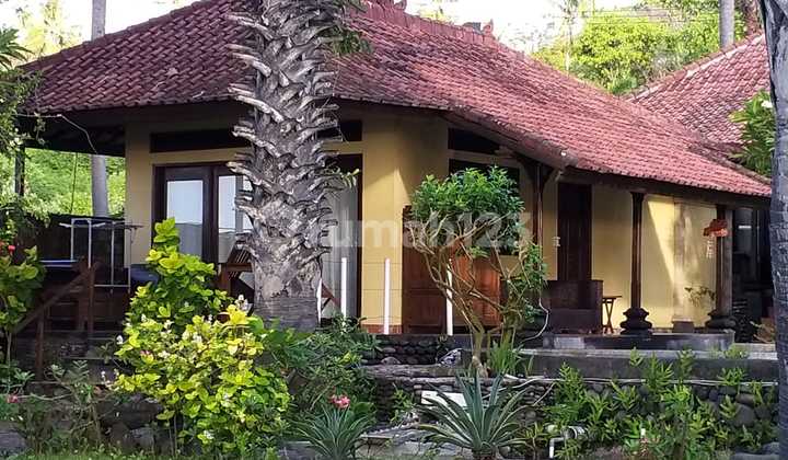 For Sale: Spacious Yard Villa Near the Beach Location in Karangasem, Bali