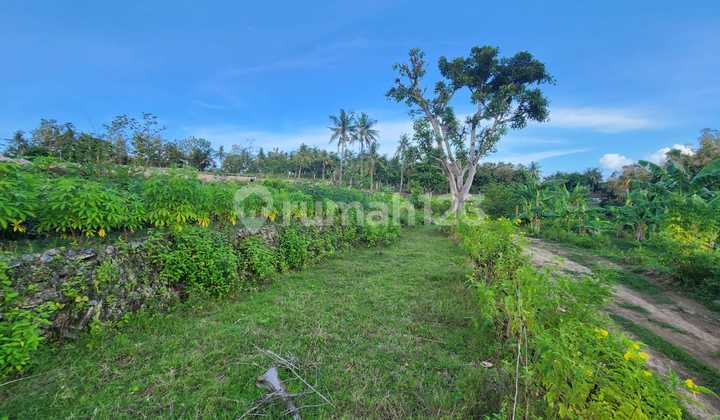 Tanah Siap Bangun Lingkungan Dan Area Strategis Tanah Siap Bangun Lingkungan Dan Area Strategis