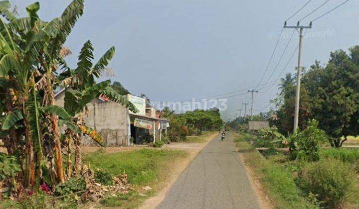 Jual Tanah Murah Lampung 3