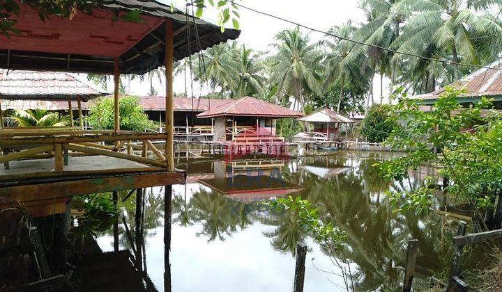 Tanah Jalan Sungai Nipah Pondok Gravela, Mempawah, Jungkat 5