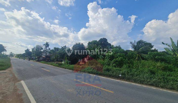 Tanah Tepi Jalan Trans Kalimantan, Kubu Raya  2