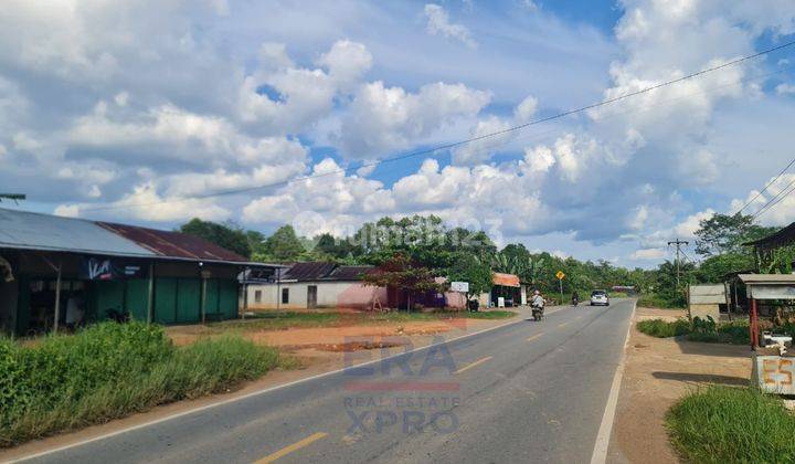 Tanah Tepi Jalan Trans Kalimantan, Kubu Raya  3