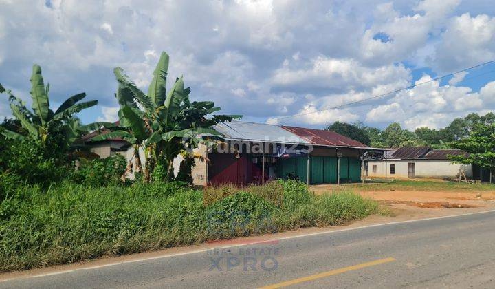 Tanah Tepi Jalan Trans Kalimantan, Kubu Raya  5