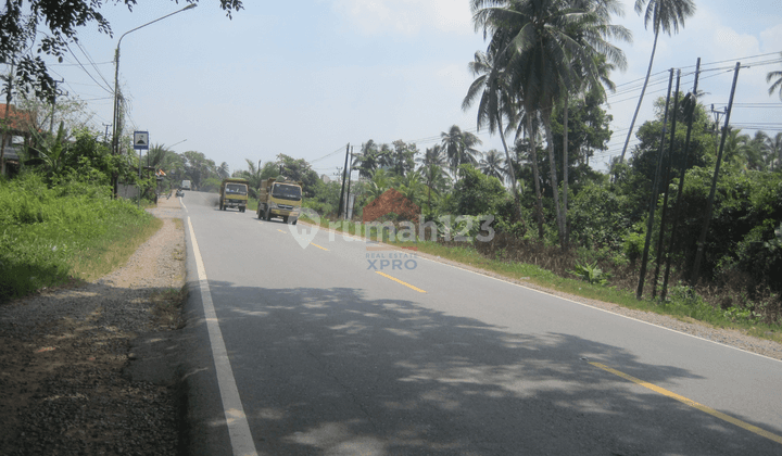 Tanah Tepi Jalan Lokasi Startegis Wajok Hilir, Pontianak 2