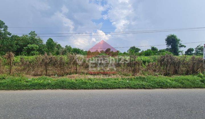 Tanah Tepi Jalan Serdam Lokasi Berkembang , Kubu Raya Pontianak 1