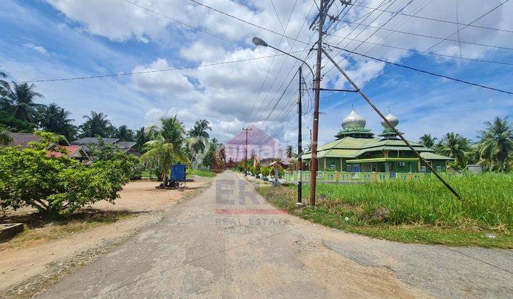 Tanah Siap Untuk Usaha Daeng Menambon Mempawah Kalimantan Barat 2