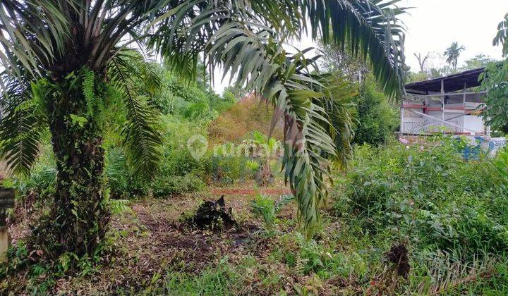 Tanah siap bangun Tepi jalan Wonodadi 2, Kubu Raya 2