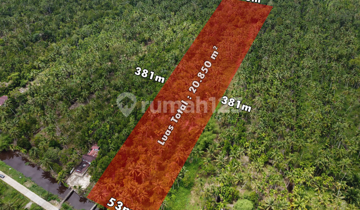 Tanah Tepi Jalan Sungai Bemban, Kubu Raya Tanah Tepi Jalan Sungai Bemban, Kubu Raya